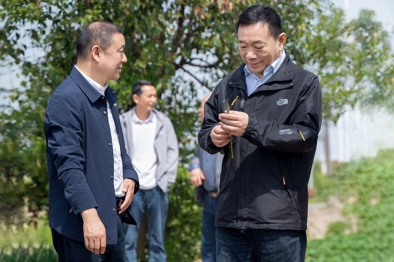 1979758628619350016.jpg 28110428w5ai.jpg